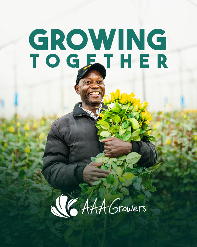 AAA Growers